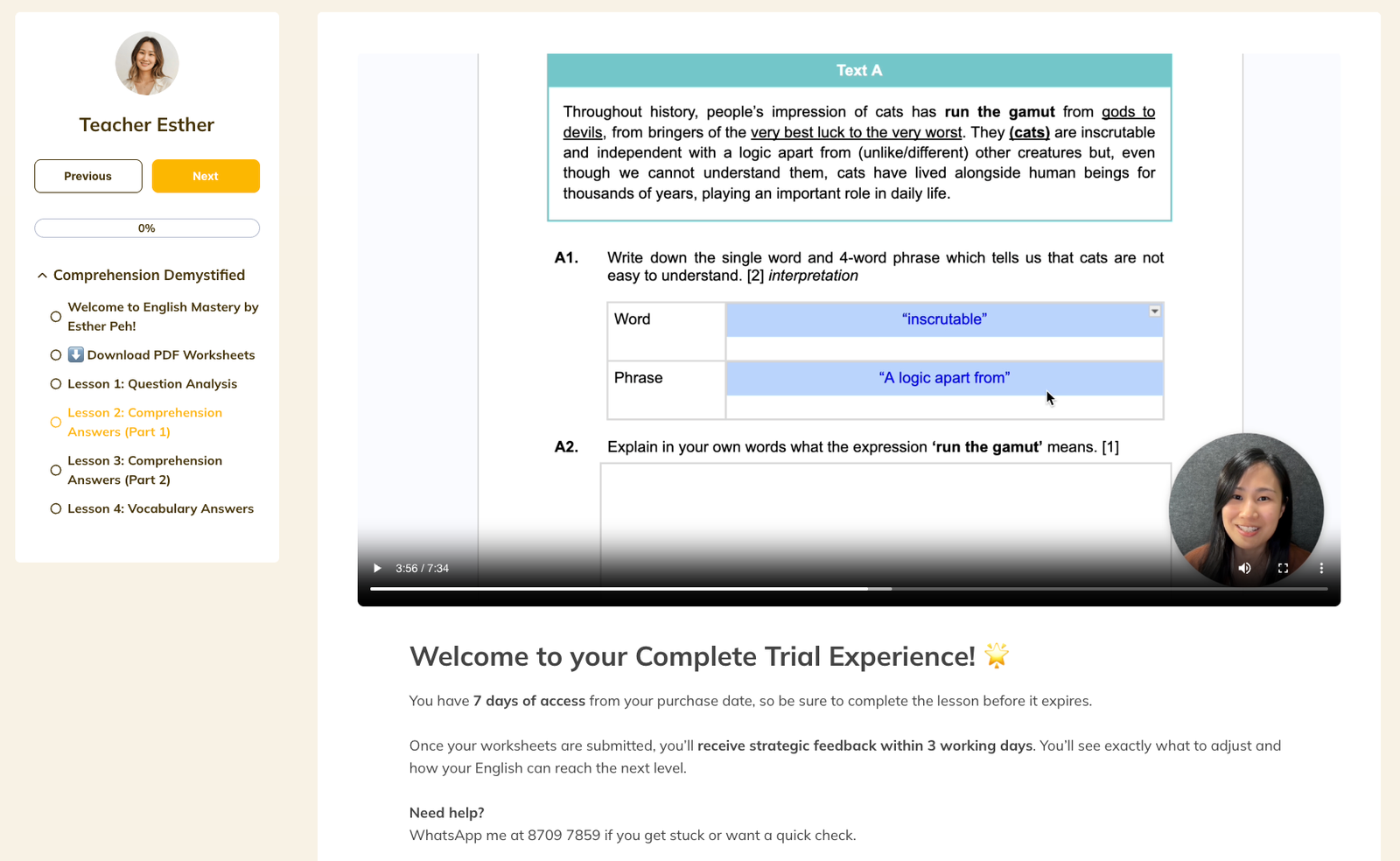 Expert video instruction screenshot showing strategic English lesson